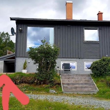 Aurora Rooms In Shared Hsuse Nr3 We Are Doing Northen Lights Trip, Reaindear Trip And Sommaroy Fjord Trips 트롬쇠 외부 사진